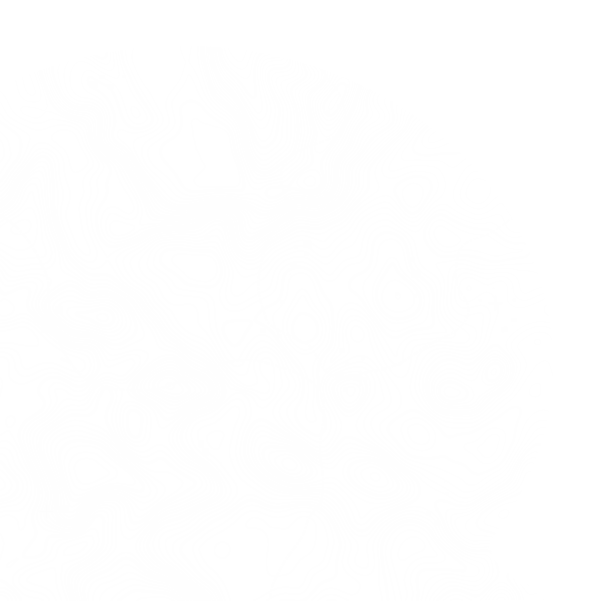 Decorative Vector