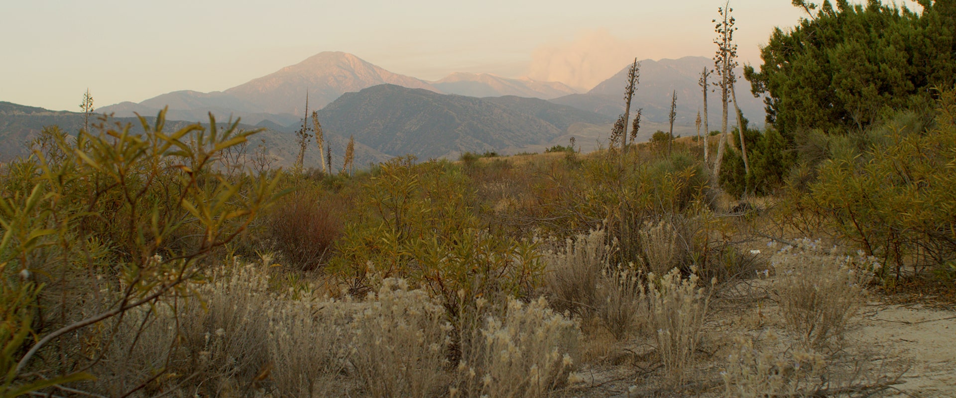 sbvwcd-trails-header